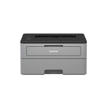 Brother HL-L2312D